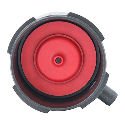 Korky ValveCap Assembly
