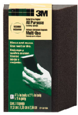 LG Flex Sanding Sponge