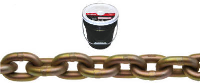 100' 5/16" Trans Chain