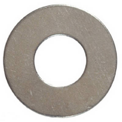 100PK5/16 SS FLT Washer