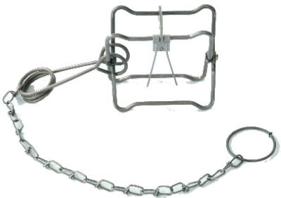 #110 Body Trap