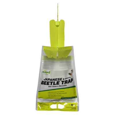 Japanese Beetle Trap
