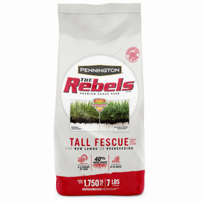 7LB Rebel Fescue Seed