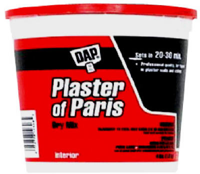 8LB WHT Plaster/Paris
