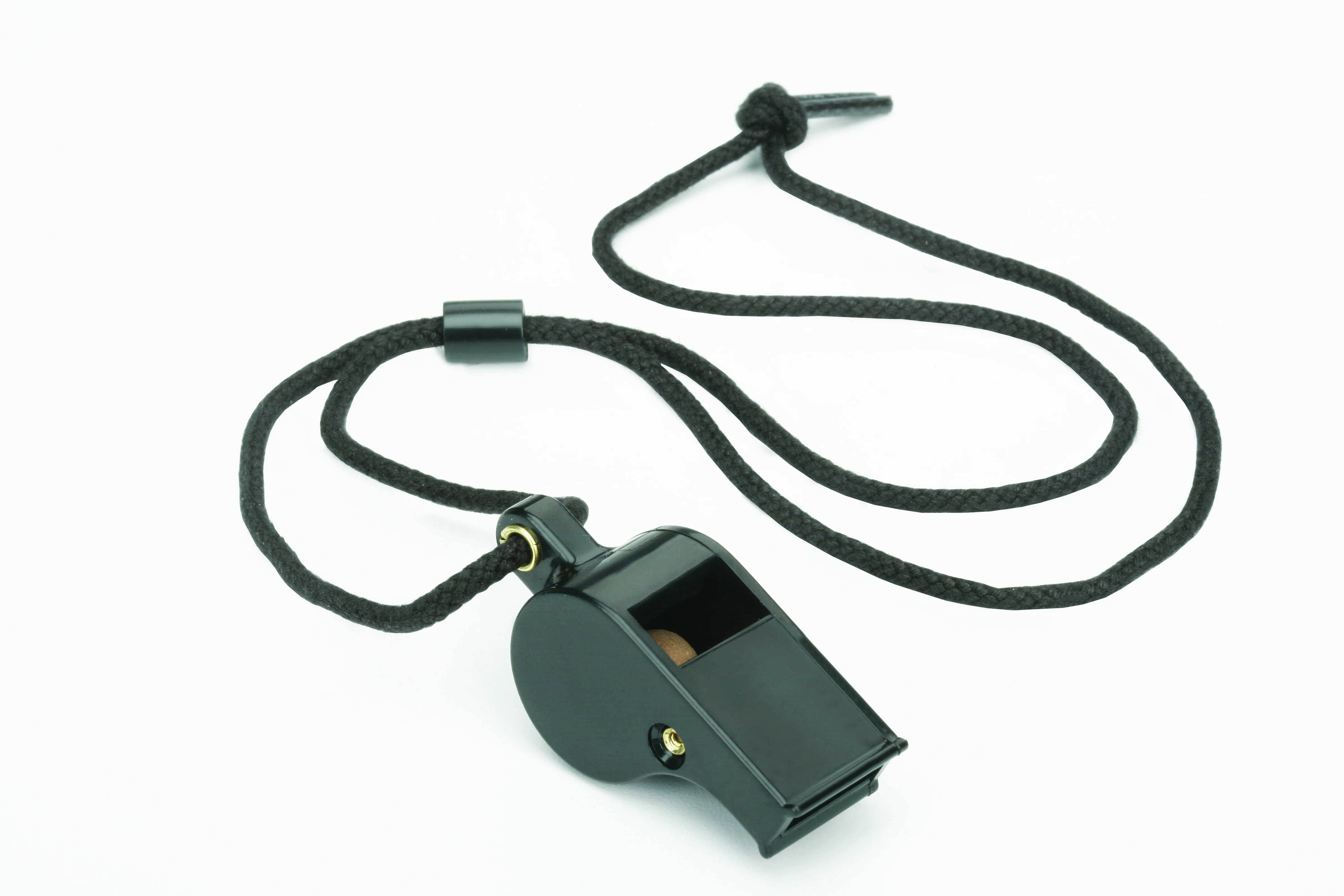 Whistle
