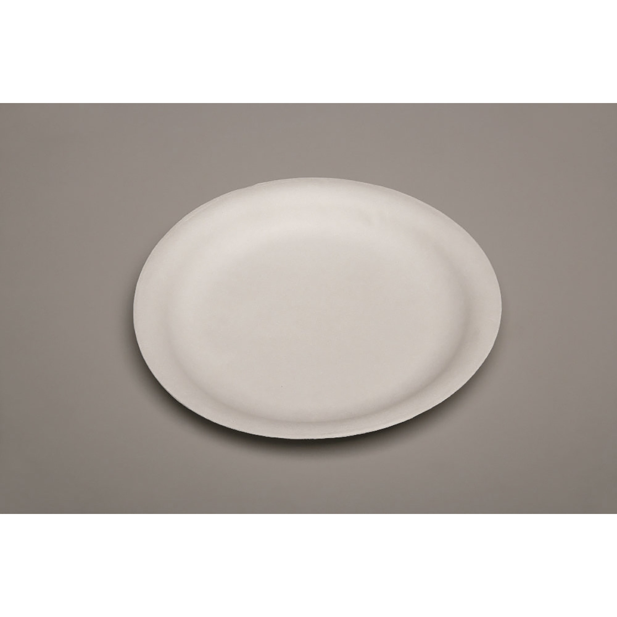 Plate, Paper, White, Round, 9" Diameter - 500/BX