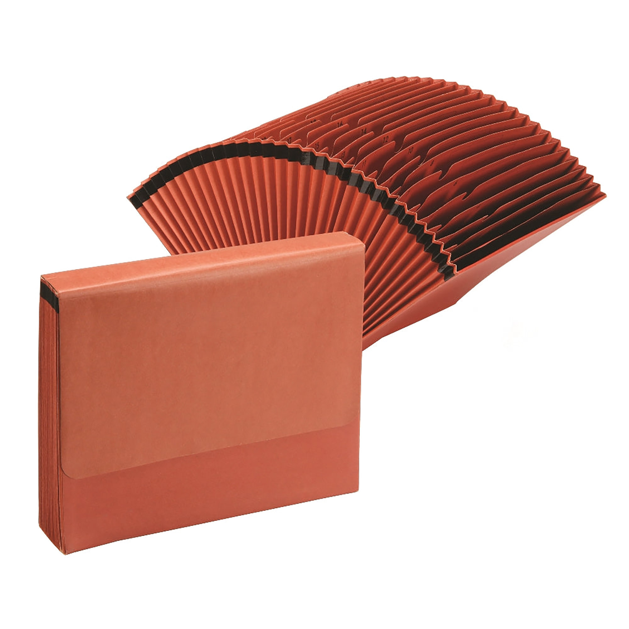 File, Work Organizer, 31 Tab with Closing Flap - Each