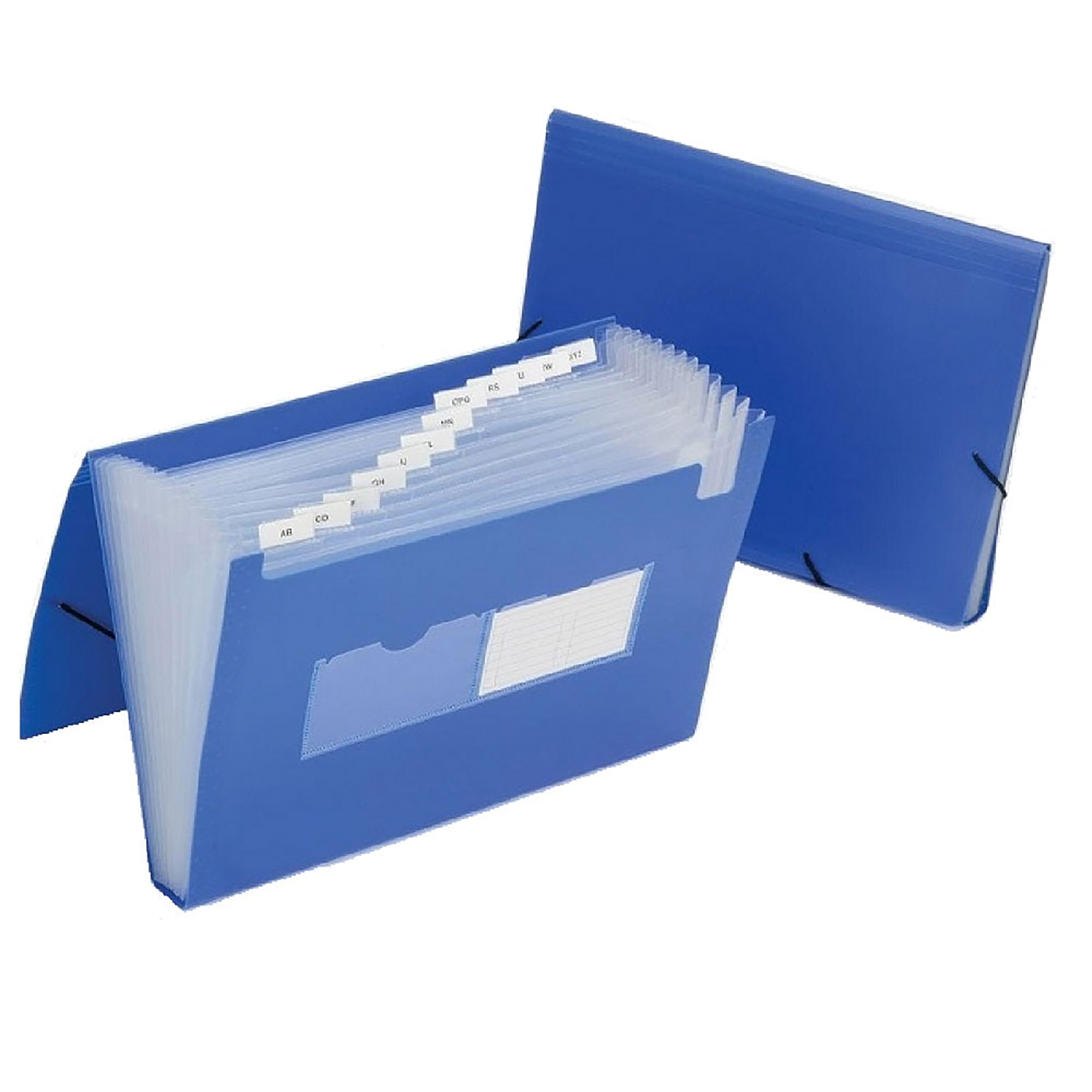 File Folder, Expanding, 12 Tab, Flap and Cord Closure, Polypropylene, Blue - Each