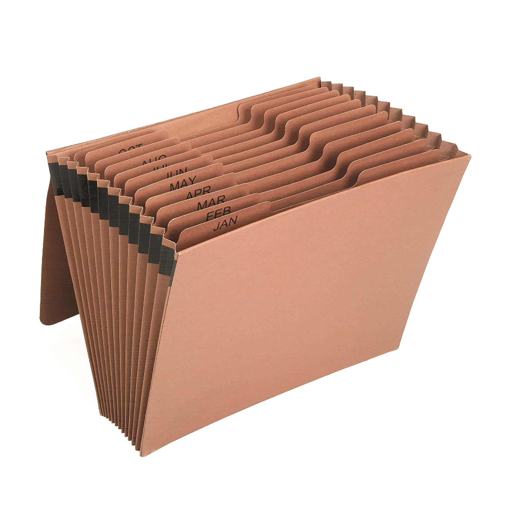 File Folder, Expanding, 12 Tab, Monthly, Jan thru Dec, Letter, w/flap & Elastic Cord Closure, Brown