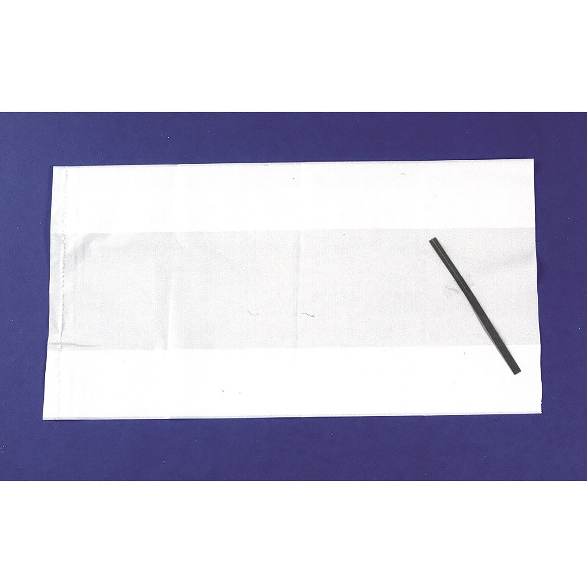 Bag, Motion Sickness, 6-1/8" x 12" x 3", White - 1000/CS