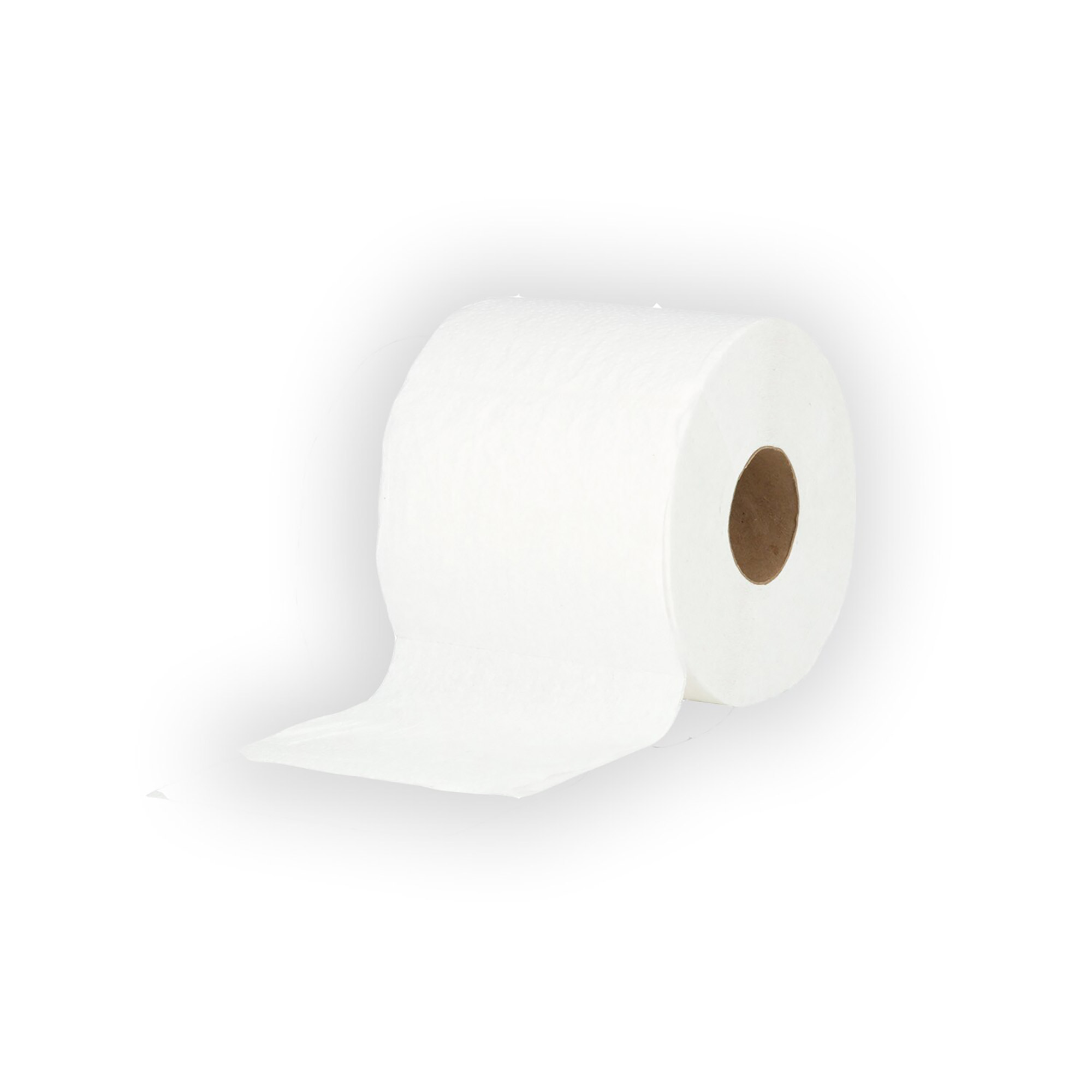Toilet Tissue, 2-Ply, 4" x 3.6", White, 48 Rolls/BX