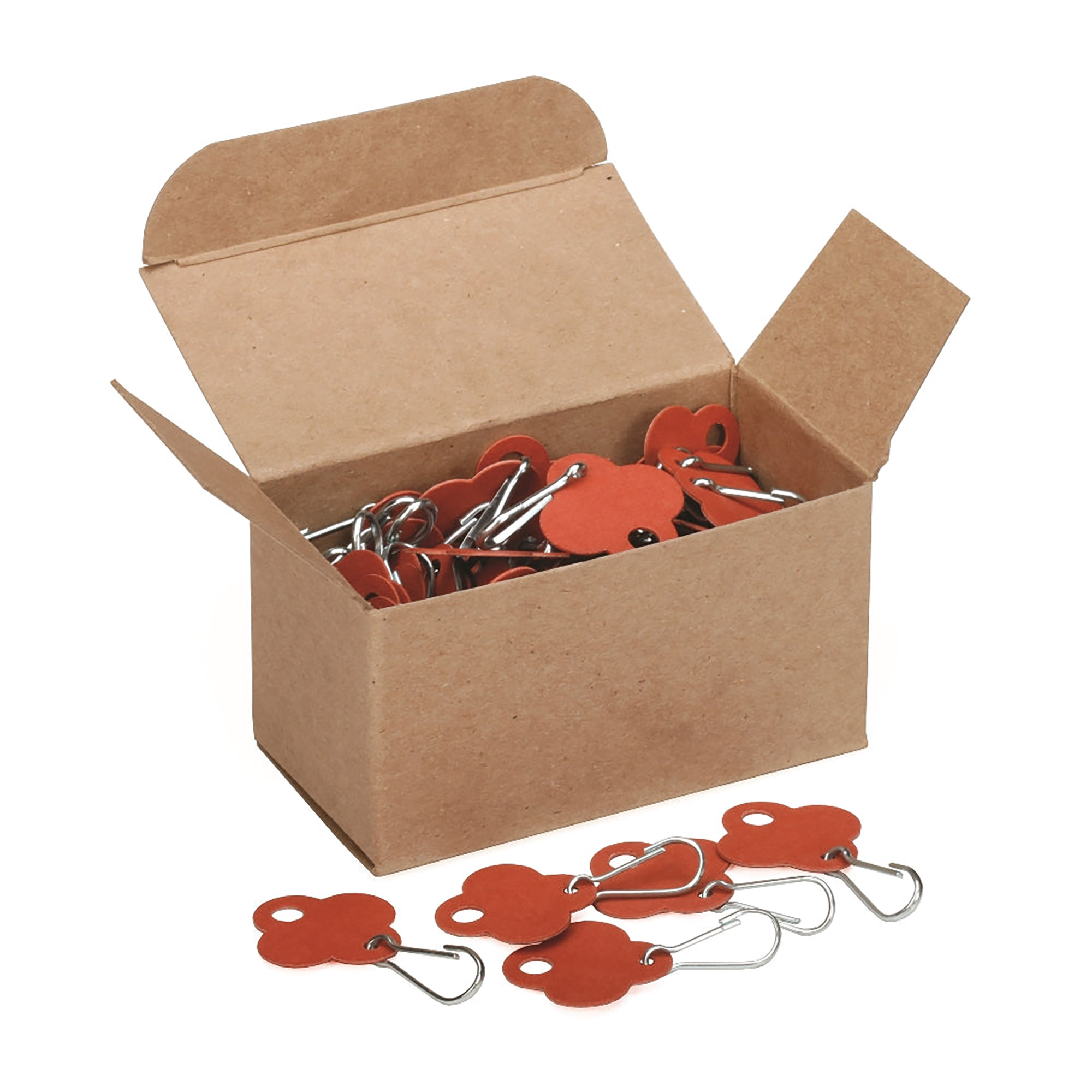 Tag, Key, Red - 100/BX